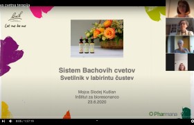 Brez naslova