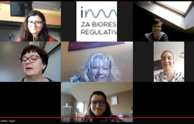 Posnetek zaključnega dela seminarja Alergije