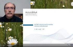 Uvodno izobraževanje za BICOM terapevta, 2. del, 1