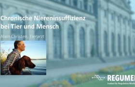 Webinar