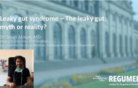 Webinar