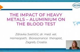 Webinar
