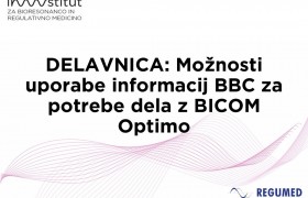 Delavnica maj 2025
